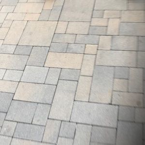 Meet your Posher, Ellen